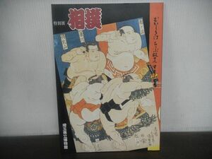 特別展 相撲　むかしきけ ちゝぶ殿さへ すまふとり　図録　埼玉県立博物館　1994年