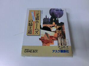 three wool cat Home z. knight road GB Game Boy * box * instructions attaching * start-up has confirmed 