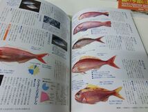 旬の食材 四季の魚 全4巻セット 講談社_画像3