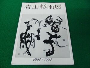 青山杉雨展 1994・1995