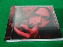 CD The Brow Beat ラブレター Type-04 帯付き_画像1