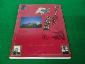 ピーターパンと妖精の国 求龍堂グラフィックス 1990年初版※カバー背表紙部分に色ヤケあり