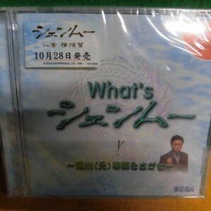 未開封 ドリームキャストソフト 非売品 What’s シェンムー 湯川(元)専務をさがせの画像1