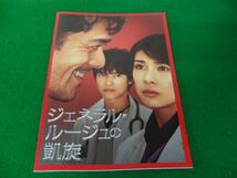 ジェネラル・ルージュの凱旋 映画 パンフレット 竹内結子 阿部寛 堺雅人 羽田美智子_画像1