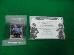 SBPR-JP003 青眼の亜白龍(SPECIAL BLUE Ver.) 未開封品・当選証明書付き