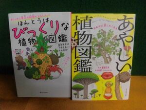 ho.... удивлен . растения иллюстрированная книга /.... растения иллюстрированная книга монография 