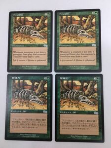 MTG　繁殖力/Fecundity　4枚（日本語版2枚　英語版2枚） [USG] 緑Uマジックザギャザリング