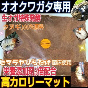 オオクワガタ専用☆超高カロリーマット　生オガ特殊発酵！菌糸瓶より経済的に飼育できる！フタマタクワガタにもお薦め！初令～羽化までOK