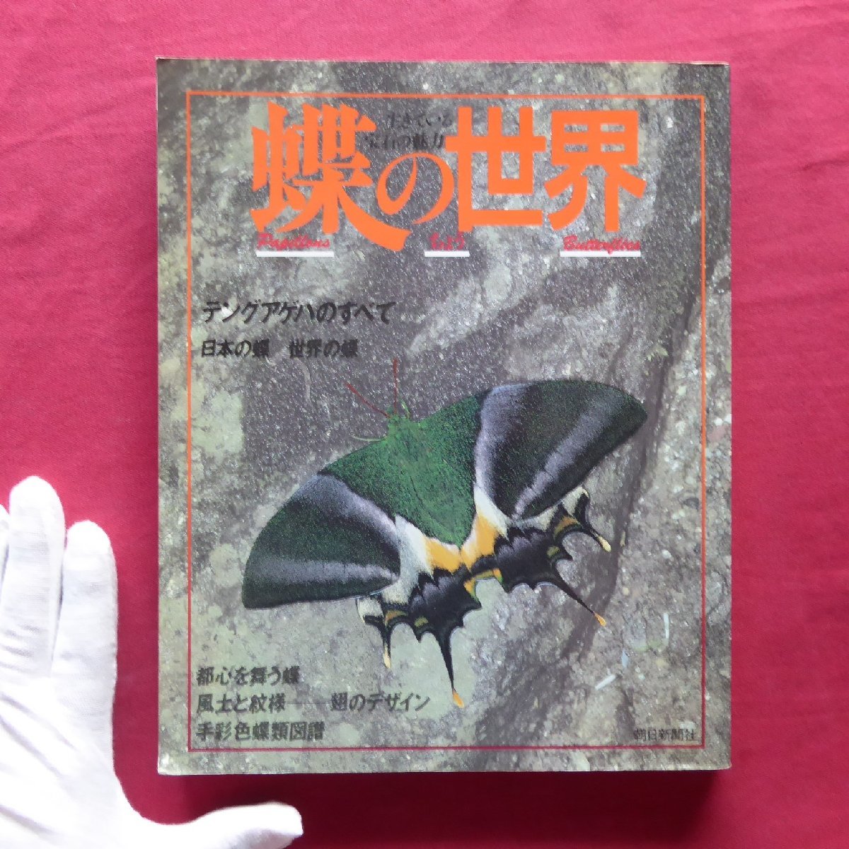 2025年最新】Yahoo!オークション -蝶(昆虫)の中古品・新品・古本一覧 2025年最新】Yahoo!オークション -蝶(昆虫)の中古品・新品・古本一覧
