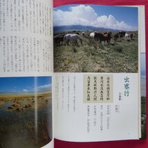 z37/田川純三著【中国漢詩の旅3-大黄河のうた/監修:井上靖/世界文化社・1989年】_画像7