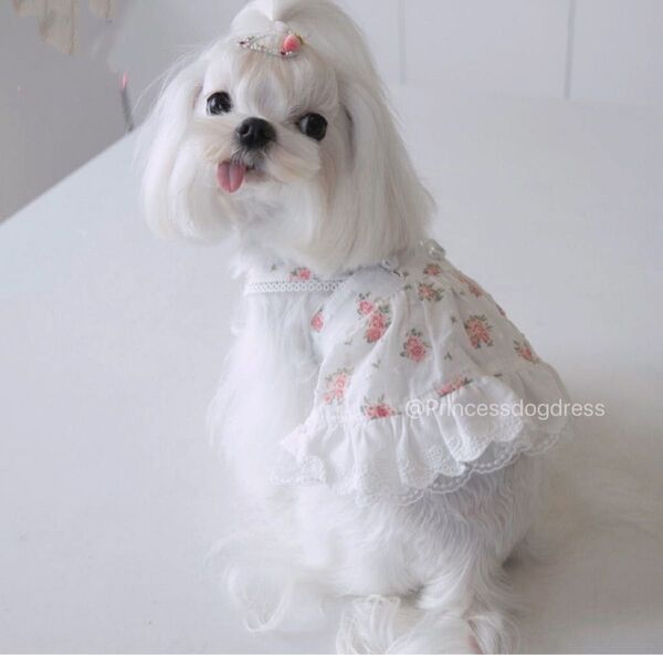 小花かわいい キャミワンピース コットン 涼しい 犬服 猫服