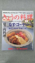 特2 52057 / きょうの料理 2010年7月号 NHKテレビテキスト 夏の肉料理 なす・ゴーヤーでわたしのおすすめレシピ カレー 冷やし中華 いわし_画像1