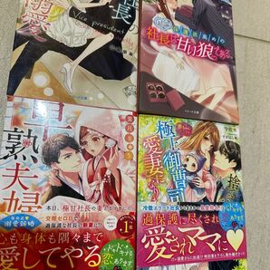 副社長のイジワルな溺愛　早熟夫婦　結論、保護欲高めの社長は甘い狼である　捨てられたはずが、赤ちゃんごと極上御曹司の愛妻になりました