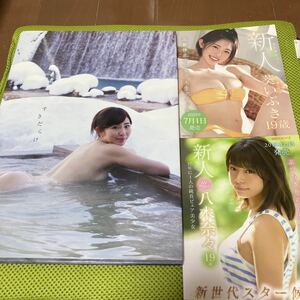 塩地美澄 ／写真集 『 すきだらけ 』 元秋田朝日放送 女子アナ バスト98cm Gカップ 巨乳、ミニBOOK八木菜々　19才、葵いぶき　19才