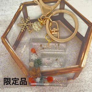 イニシャルキーホルダー　レジン　ハンドメイド　　木の実　ドライフラワー　クリスマス　Ｅ