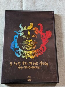 ★THE BACKHORN／LIVE IN THE SUN★ザ・バックホーン／DVD／