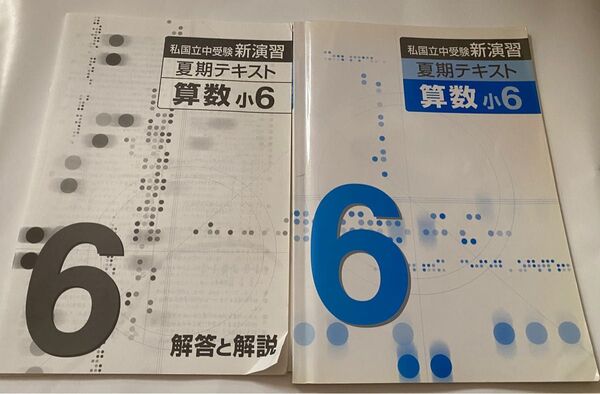 私国立中受験 新演習 夏期テキスト 算数 6年生
