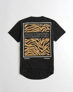 新品タグ付★正規品★Sサイズ！★ホリスターHOLLISTER★Tシャツ★未開封★ブラック