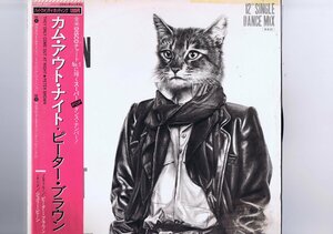 帯付 インサート付 国内盤 12inch Peter Brown / They Only Come Out At Night / ピーター・ブラウン カム・アウト・ナイト 12AP 2857