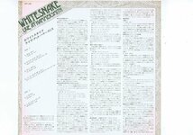 盤良好 国内 LP Whitesnake Live At Hammersmith ホワイト・スネイク スネーク アット・ハマースミス ライヴ ライブ インサート付 MPF 1288_画像3