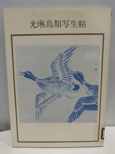 【除籍本】光琳鳥類写生帖　岩崎美術社【ac06b】