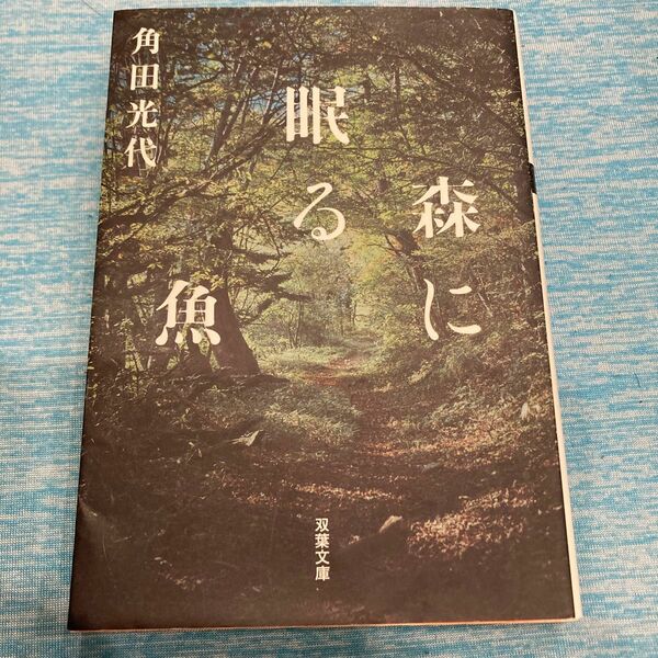 森に眠る魚 （双葉文庫　か－３０－０３） 角田光代／著