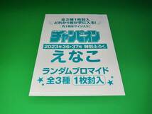 ☆★えなこ/ランダムブロマイド全3種コンプセット/週刊少年チャンピオン2023年36-37号付録のみ★☆_画像2