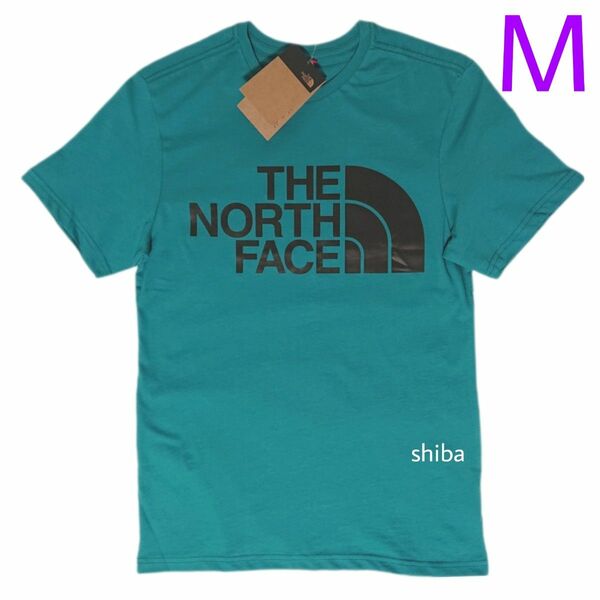 THE NORTH FACE ノースフェイス スタンダード tシャツ 半袖 ティール ターコイズ 青 ブラック 黒 海外Mサイズ