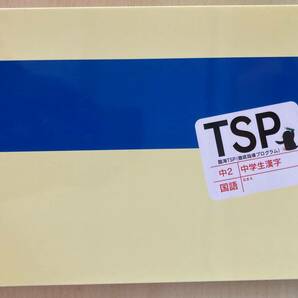 ★塾用教材★臨海セミナー 中２/中学２年 TSP 徹底指導プログラム 国語 中学生漢字 問題集 解答付