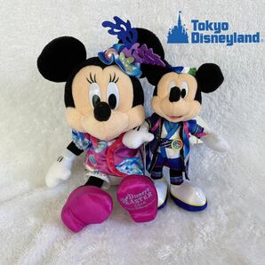 東京ディズニーリゾート　ミッキーぬいぐるみバッジ ミニーぬいぐるみ