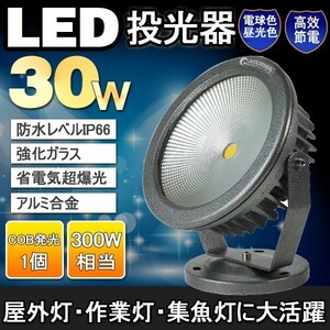 GOODGOODS LED投光器 30W 300W相当 防水 COBタイプ 看板灯 集魚灯 作業灯 駐車場灯 屋外 船舶 ステージ 電球色 CO30-DQ