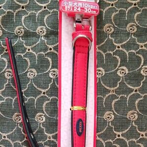 犬用お散歩用首輪 小型犬用