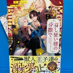 召し使い様の分際で （＆ａｒｃｈｅ　ＮＯＶＥＬＳ） 月齢／〔著〕