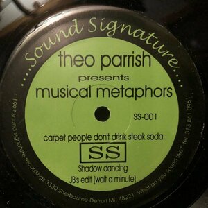 Theo Parrish / Musical Metaphors