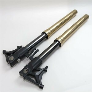 !DUCATI/ Hypermotard 1100S original handstand front fork (D0817A14)