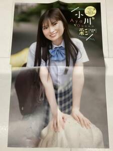 小川彩　ポスター ＋ 切り抜き 9ページ　週刊少年チャンピオン 2023年33号 ●送料134円～▼2311は2308　34