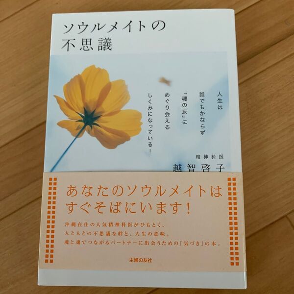 ソウルメイトの不思議　人生は誰でもかならず「魂の友」にめぐり会えるしくみになっている！ 越智啓子／著 