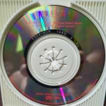 ★５★　パメラ　のシングルCD「BLIND LOVE」_画像4