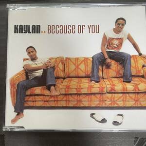 【CD】Kaylan - Because Of You