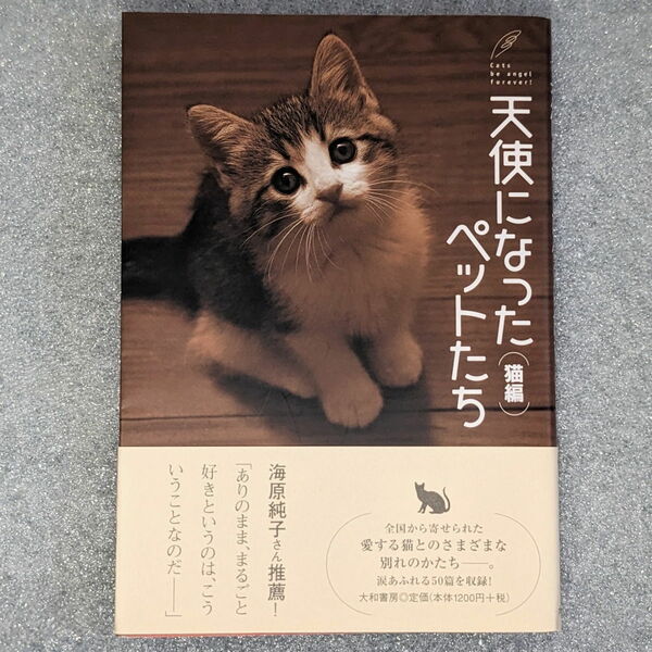 天使になったペットたち　猫編 大和書房／編