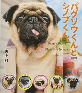  Pug elephant kun . shino b kun./ slope on .#23084-10036-YY38