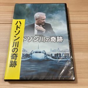 ハドソン川の奇跡 [DVD]