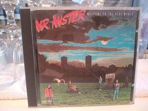 廃盤★昭和レトロ★CDアルバム★1986年 MR.MISTER / WELCOME TO THE WORLD / Mr.ミスター リチャードペイジ キリエ ブロウクンウィングス 