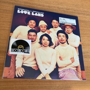 【貴重7インチ】美品 RADDIMATES feat. KODAMA NAO Loveland リディメイツ　レコードストアデイ　RSD