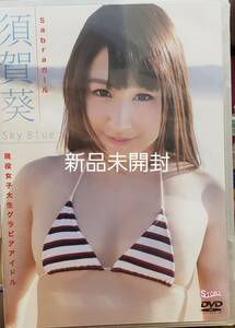 須賀葵　sky blue　DVD　新品未開封