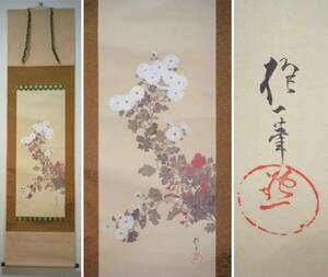 [. made ] hanging scroll sake .. one chrysanthemum small . map Edo ... Takumi beautiful name of product goods in box J98