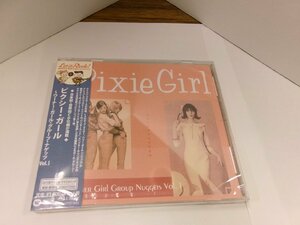 ▲CD VA（HONEYS / PARIS SISTERS 他) / PIXIE GIRL WARNER GIRL GROUP NUGGETS VOL.1 帯付未開封 ワーナー WPCR-16655 OLDIES◇r50806