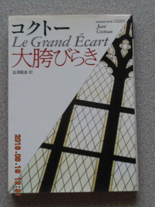 [ большой .. Lucky ] Cocteau ( Shibusawa Tatsuhiko перевод ) удача . библиотека 