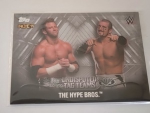 TOPPS　WWE　2016　Undisputed　NXT　タッグチームカード　THE　HYPE　BROS.（ザック・ライダー、モジャ・ローリー）　50枚限定カード