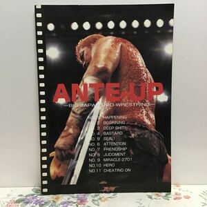 ANTE-UP 大日本プロレス パンフレット　葛西淳 シャドウWX メンズテイオー 山川竜司 CZW ザンディング ワイフビーター い①